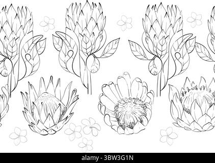 Vector simple seamless summer border, pattern. Tropical flower proteas and plumeria ornament. Hand drawn graphic. Black circuit silhouette Stock Vector