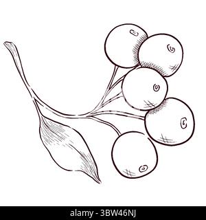 Gemstones and flowers vector illustrations set Stock Vector