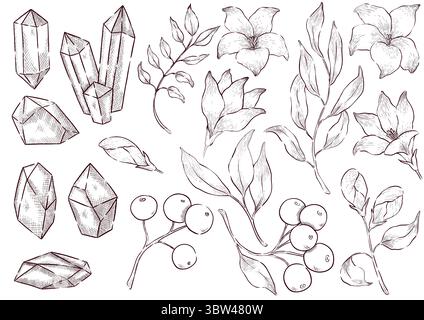 Gemstones and flowers vector illustrations set Stock Vector