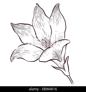 Gemstones and flowers vector illustrations set Stock Vector