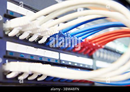 Network cables with connectors on the switch Stock Photo