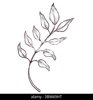Gemstones and flowers vector illustrations set Stock Vector