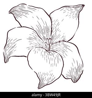 Gemstones and flowers vector illustrations set Stock Vector