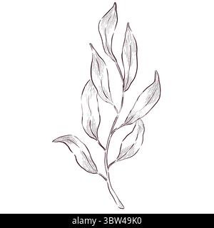 Gemstones and flowers vector illustrations set Stock Vector