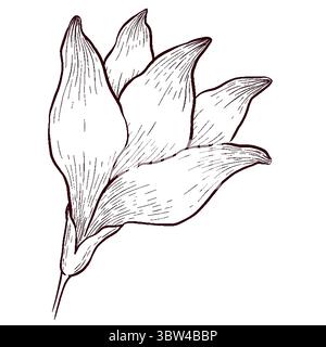 Gemstones and flowers vector illustrations set Stock Vector