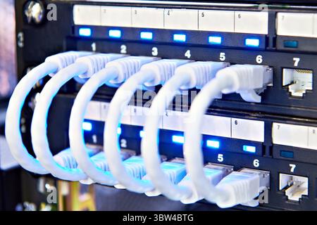 Network cables with connectors on the switch Stock Photo