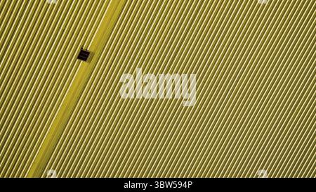 Pattern orange wall of a modern building abstract background Stock Photo