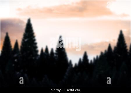 Silhouetted coniferous trees are standing against pastel orange pink sky at dawn, flat design Stock Photo