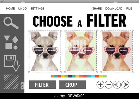 Displaying editing UI three filter preview panels swatch bar and tan dog wearing heart sunglasses Stock Photo