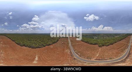 Aerial view of winding rust-colored waterways cutting through a dense ...