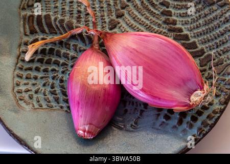 Close-up of shallots  in a residential apartment kitchen, 2025, New York City, USA Stock Photo