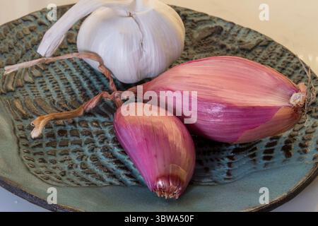 Close-up of shallots and head of garlic in a residential apartment kitchen, 2025, New York City, USA Stock Photo