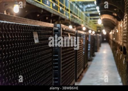 An old wine cellar with lots of vintage retro bottles Stock Photo