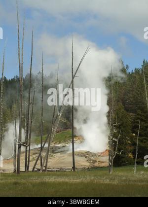 Black Growler Steam Vent, Porcelain Basin, Norris Geyser Basin ...