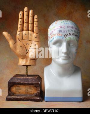 Phrenology Head And Rascette Hand Still life Stock Photo