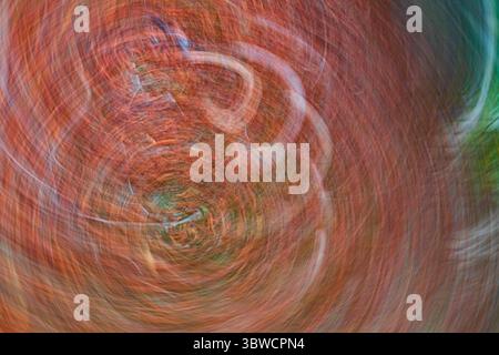 December 5, 2020: Abstract psychedelic art of fruit, leaves, and trees in San Diego, California on Saturday, December 5th, 2020. The fruits encompassed succulent lemons, guavas, and limes while the florid Fall leaves were decorated in colorful regal red and plush purple. (Credit Image: © Rishi Deka/ZUMA Wire) Stock Photo