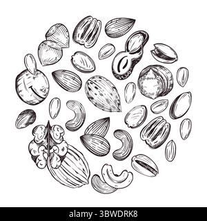 Round composition of macadamia nuts, pecans, walnuts, cashews, almonds, peanuts, hazelnuts. All objects are hand-drawn in vector. For printing on food Stock Vector