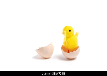 Easter egg and yellow chicken isolated on white background, easter concept Stock Photo
