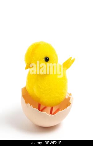 Cute yellow chicken in an eggshell isolated on white background Stock Photo
