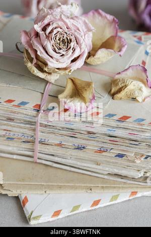 A stack of vintage love letters and a single rose flower lying on it. Retro style decor Stock Photo