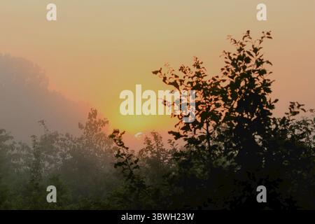 A golden sunrise breaks through layers of fog and forest, illuminating the trees in the early hours of day. Stock Photo