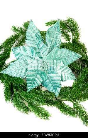Handmade turquoise poinsettia flower with glitter, arranged on green pine branches. Perfect for Christmas crafts and winter festive decor on white bac Stock Photo