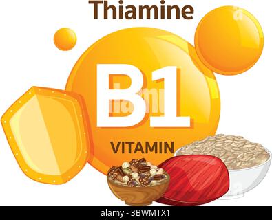Vector illustration of vitamin B1 thiamine with shield, grains, nuts, and meat in a flat, colorful style emphasizing nutrition and health Stock Vector