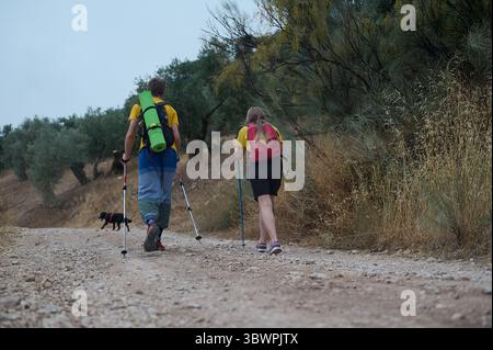 A young couple hikes through a scenic outdoor trail using trekking sticks, accompanied by their dog, showcasing a healthy and adventurous lifestyle in Stock Photo