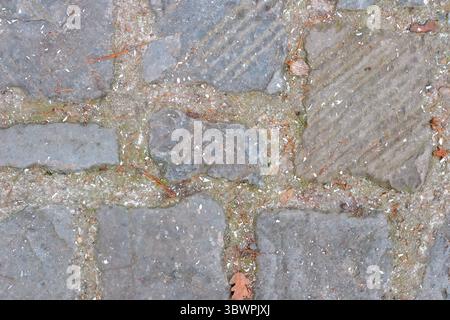 Old stone pavement with natural wear, moss, dirt, and pine needles – close-up texture shot. Stock Photo