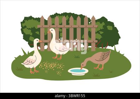 Cartoon geese in a farmyard setting with a wooden fence and trees. One goose drinks from a bowl while others peck at scattered grain. Flat style rural Stock Vector