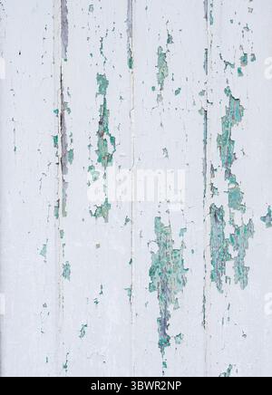 white and greenish grungy weathered paint on old planks Stock Photo