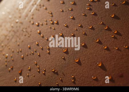 Early morning dew drops on a vintage tent Stock Photo
