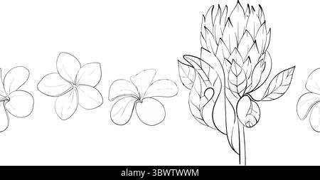 Vector simple tropical seamless summer border, pattern with flowers - proteas and plumeria. Hand drawn graphic ornament. Black circuit silhouette Stock Vector