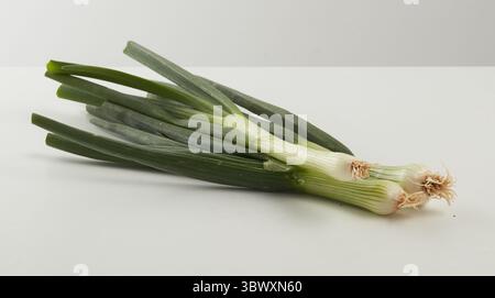 spring onion  isolated nature background with clipping path Stock Photo