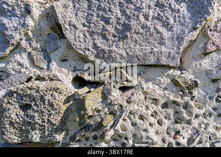 Close-up of a rugged stone wall, showcasing weathered rocks and mortar, ideal for backgrounds and historical themes. Stock Photo