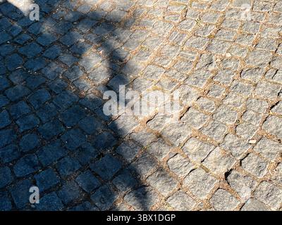shadows of a tree branch on the stone wall texture, background texture for web and design use Stock Photo