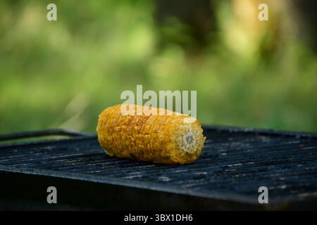 Close-up of a roasted corn cob on an old iron grill, surrounded by blurry green forest. Natural outdoor meal cooked in a rustic setting Stock Photo