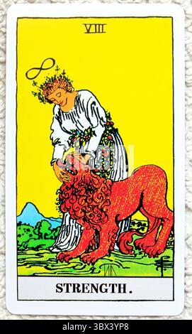 Strength card - number 8 - Individual Tarot card studio set up on ...