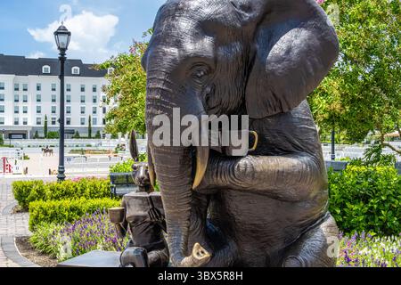 african-elephant-and-