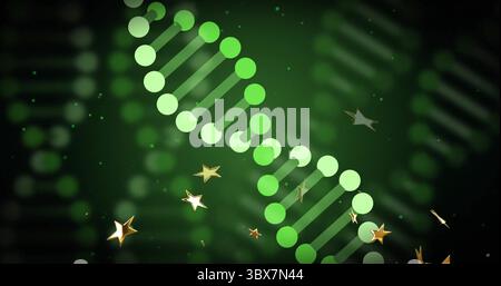 Displaying stylized green DNA helix floating in abstract digital environment, with gold stars Stock Photo