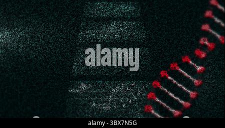 Displaying glowing red DNA double helix rotating in abstract background, bright nodes, copy space Stock Photo