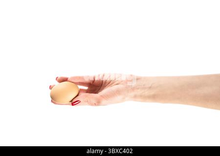 Chicken egg in female hand isolated on white background. Stock Photo