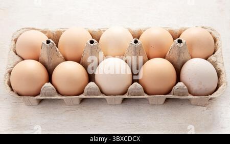 Open egg boxes with different eggs on a light background Fresh organic chicken eggs in carton pack or egg container. Top view. Stock Photo