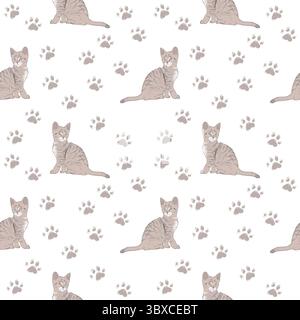 gray tabby kittens and paw prints on a clean white background Stock Photo