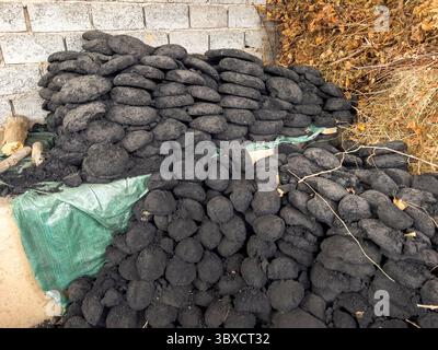 Fuel Made from a Mixture of Cow Dung and Coal in Rural Uzbekistan Stock Photo