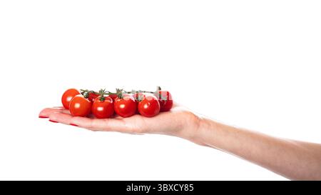 Cherry tomato branch in hand path isolated on white Stock Photo