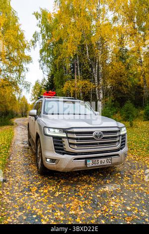 Altai, Kazakhstan - October 12, 2024: A silver Toyota Land Cruiser 300 is on a narrow forest path, surrounded by yellow autumn trees and fallen leaves Stock Photo
