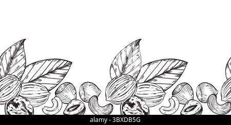 Seamless border of walnuts, hazelnuts, cashews, whole nuts, cracked nuts, leaves. All objects are hand-drawn with ink. Vector Illustration for Stock Vector