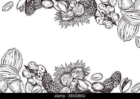 Rectangular vector frame of nuts, walnut, peanut, hazelnut, pistachio, hazelnut. All objects are hand-drawn in vector. The illustration is suitable Stock Vector