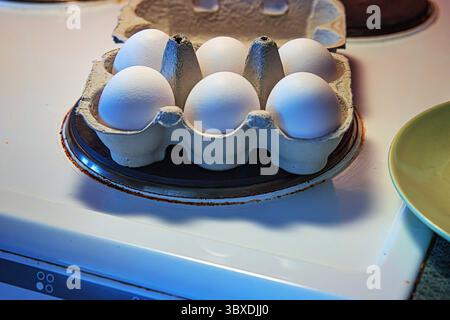 Six row chicken eggs in the recycled cardboard carton box on the black cooking plate of a white electric stove. Selective focus Stock Photo